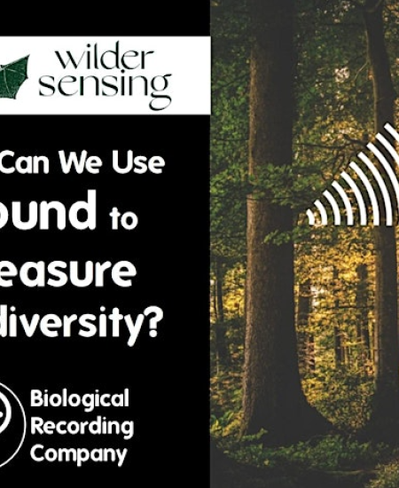 How Can We Use Sound to Measure Biodiversity? – Webinar Round-up