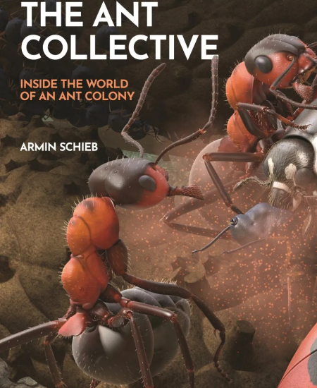 Book Review: The Ant Collective