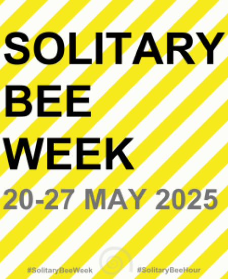 Solitary Bee Week 2025