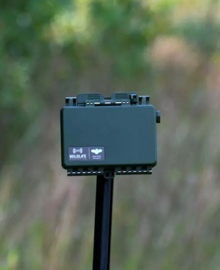 NHBS In the Field – Song Meter Mini Bat 2