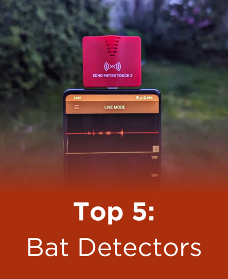 Top 5: Bat Detectors