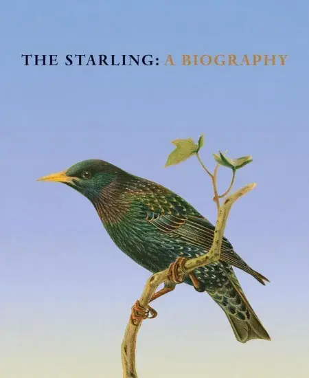 Author interview with Stephen Moss: The Starling
