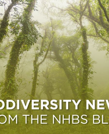 This Week in Biodiversity News – 1st December 2025