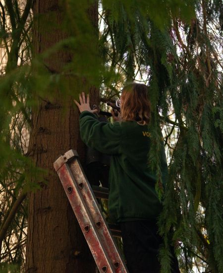 Interview with Charlotte Mead: The Wildwood Trust