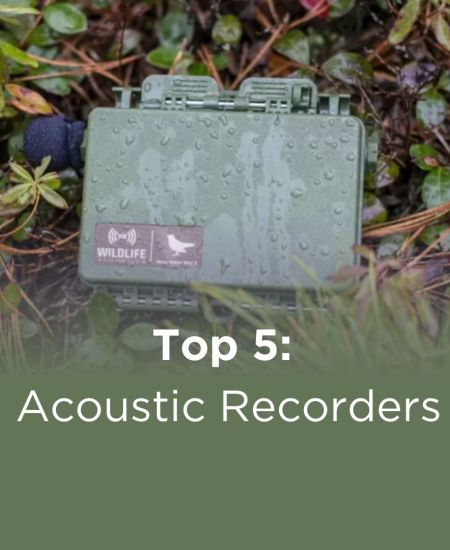 Top 5: Acoustic Recorders