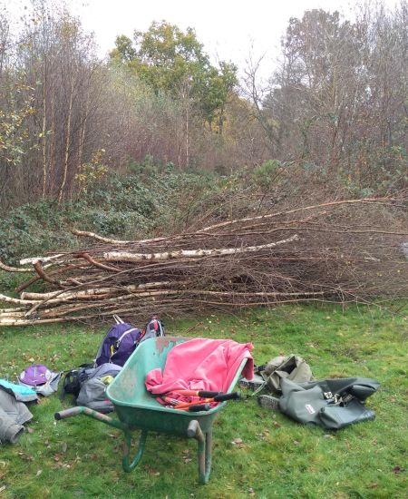 Conservation volunteering to regenerate public grounds for butterflies and amphibians