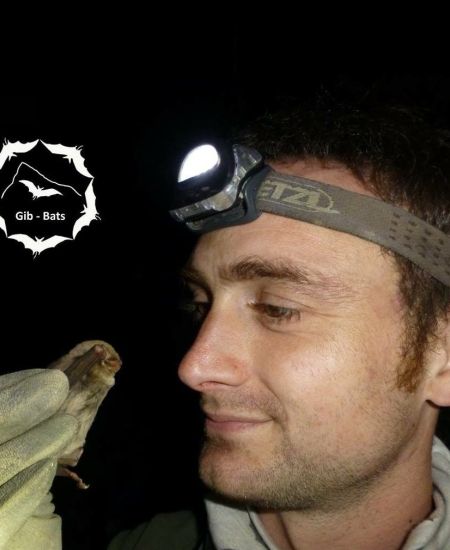 Author interview with James Shipman: Identifying Bats of Britain and Ireland