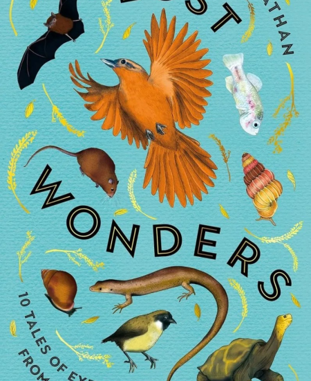 Book Review: Lost Wonders