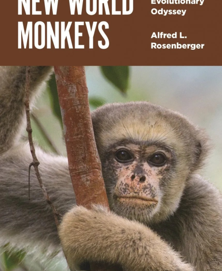 Book Review: New World Monkeys