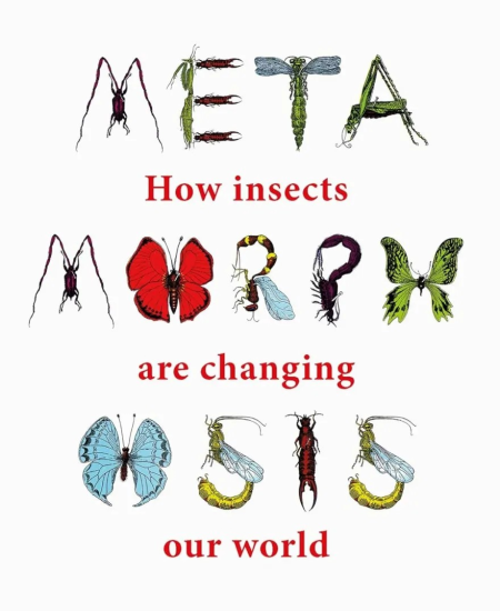 Book Review: Metamorphosis