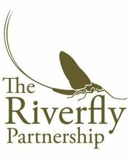Q&A with Trine Bregstein: The Riverfly Partnership