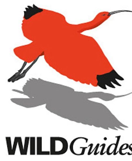 Interview with WILDGuides Publisher Rob Still 
