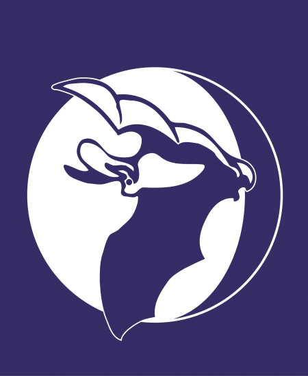 Interview with Jan Collins: Bats and Large-Scale Housing Maintenance Projects Guidance for England