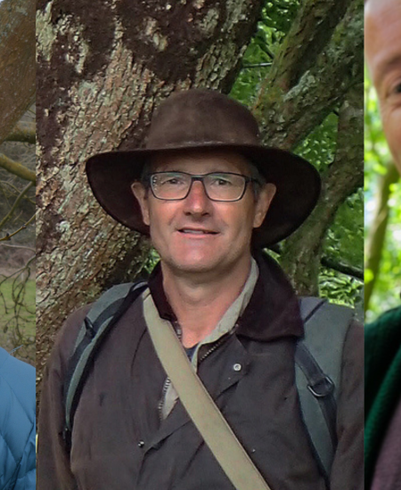 Hazel Dormouse Conservation Handbook: Author Interview