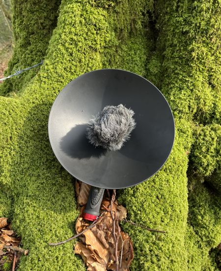 Equipment in Focus: BirdMic Parabolic Microphone