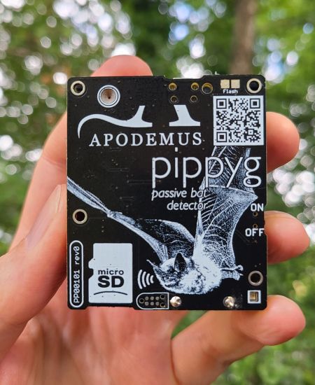 In the Field – Testing the new Apodemus PippyG bat detector