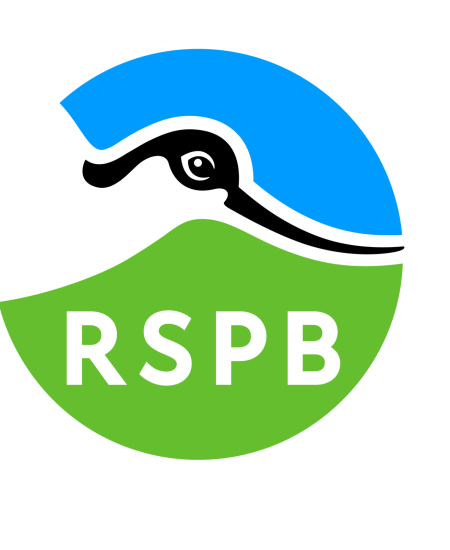 Interview with RSPB: A Night of Nature