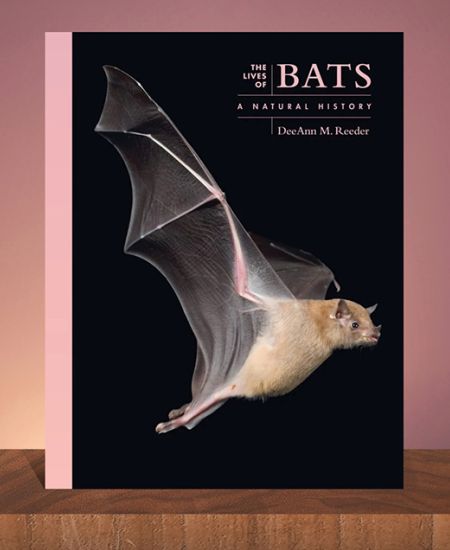 Book Review – The Lives of Bats: A Natural History