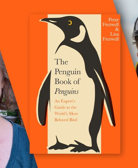 Author Q&A: Peter Fretwell and Lisa Fretwell – The Penguin book of Penguins