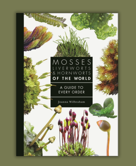 Author interview with Joanna Wilbraham: Mosses, Liverworts, and Hornworts of the World