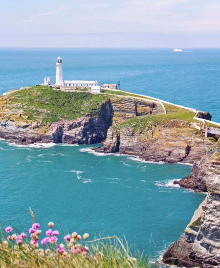 Conservation Volunteering at RSPB Ynys Lawd/South Stack