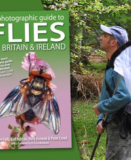 Author interview with Steven J Falk: A Photographic Guide to Flies of Britain & Ireland