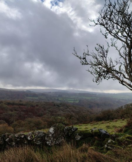 Conservation volunteering with the Dartmoor Preservation Association