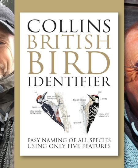 Author Interview with Paul Stancliffe and Jeff Baker: The Collins British Bird Identifier