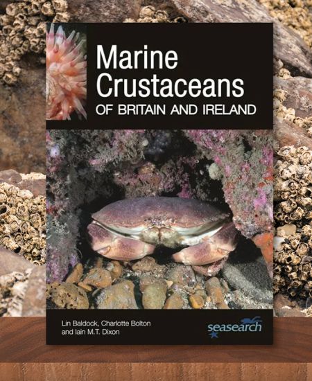Author interview with Lin Baldock, Charlotte Bolton and Iain Dixon: Marine Crustaceans of Britain and Ireland