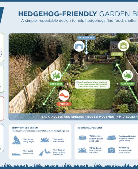 The NHBS Guide to Hedgehog Houses