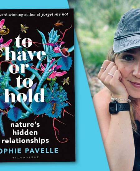 Author interview with Sophie Pavelle: To Have or To Hold