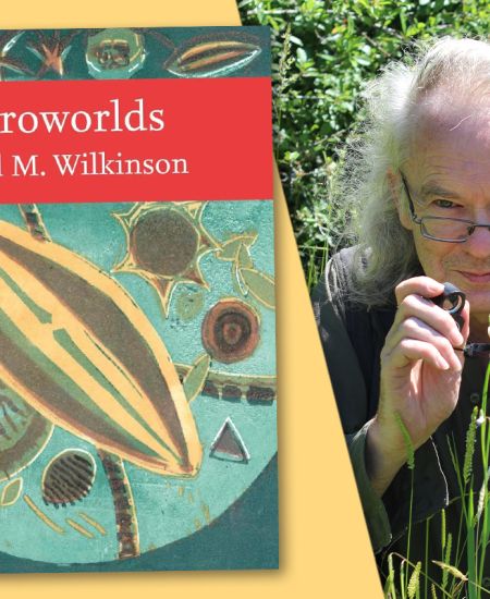 Author interview with David M Wilkinson: Microworlds