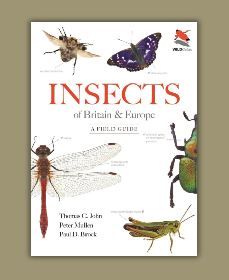 Author Interview with Thomas John and Paul Brock: Insects of Britain & Europe