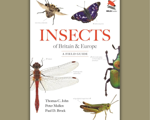 Author Interview with Thomas John and Paul Brock: Insects of Britain & Europe