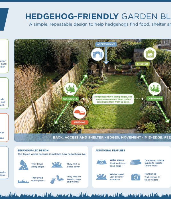 The NHBS Guide to Hedgehog Houses