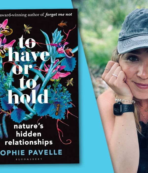 Author interview with Sophie Pavelle: To Have or To Hold