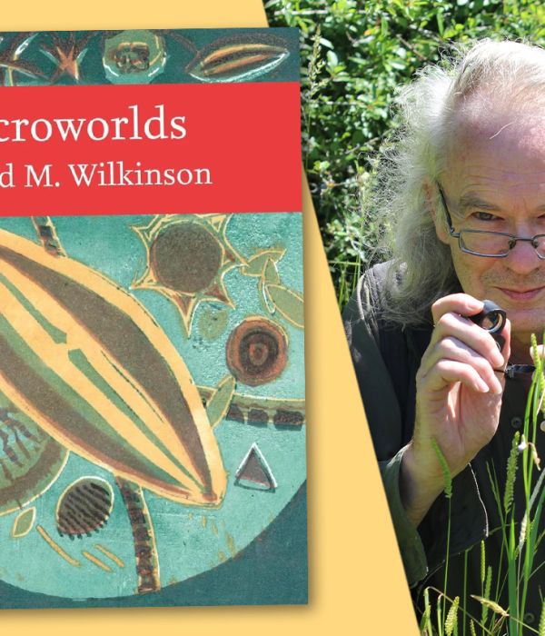 Author interview with David M Wilkinson: Microworlds