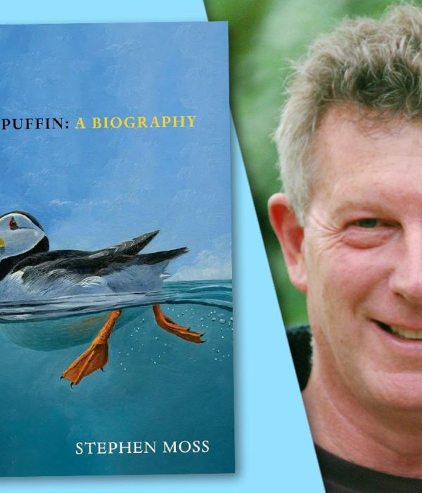 Author interview with Stephen Moss – The Puffin: A Biography