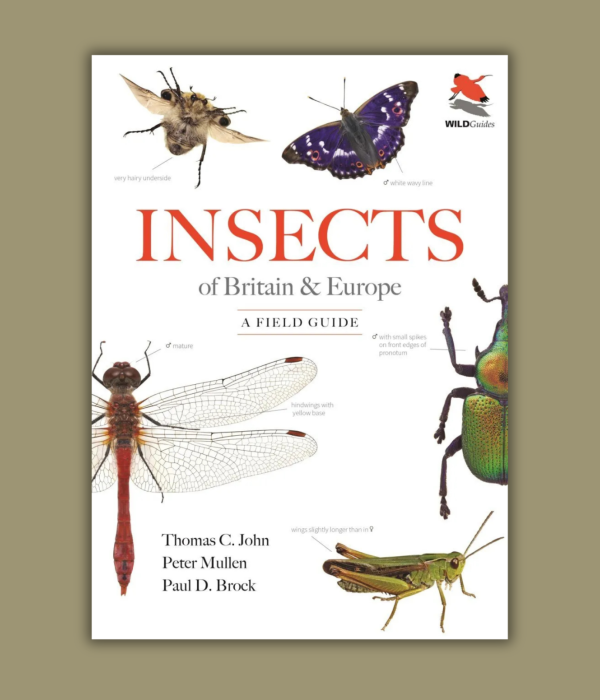 Author Interview with Thomas John and Paul Brock: Insects of Britain & Europe